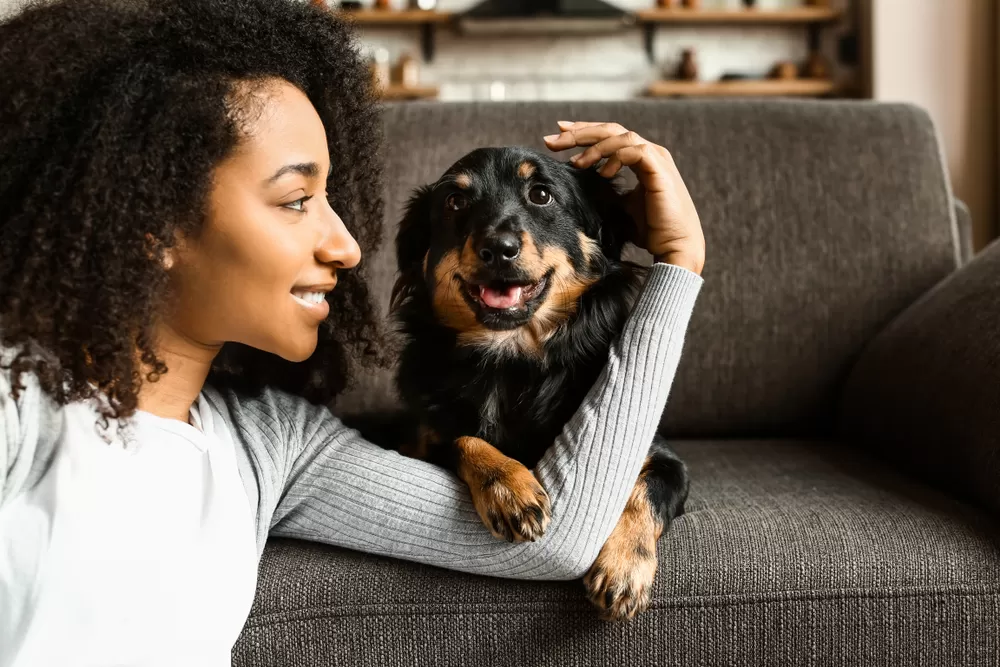 Dogs Help Your Mental Health