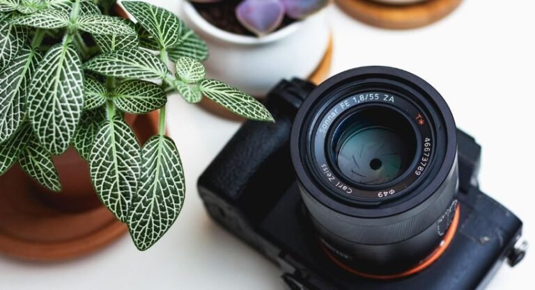 Essential Photography Tips for Beginners-featured