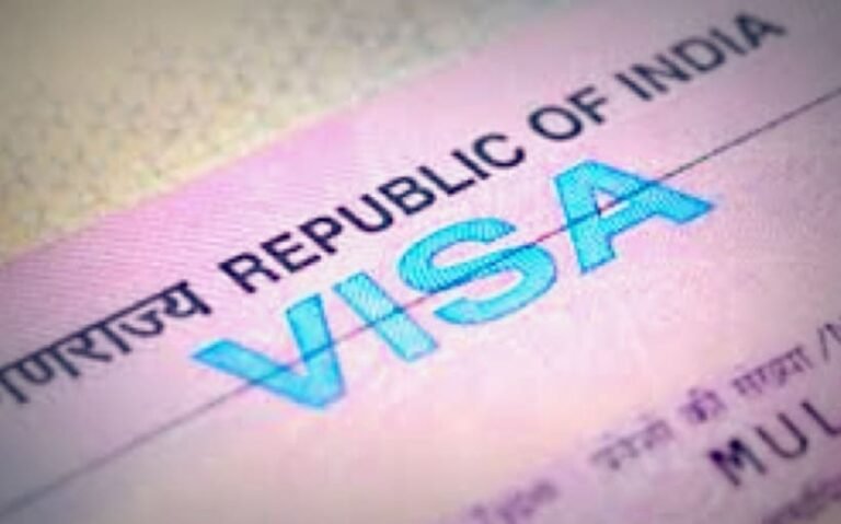 How to Fill Indian Visa Online Application