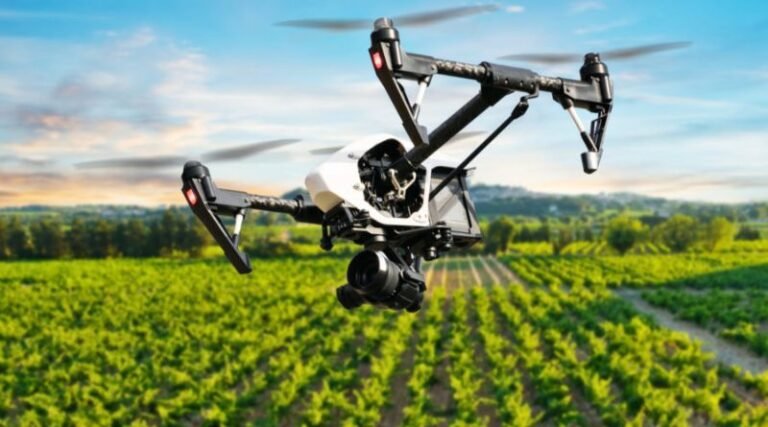 Innovative Ways Technology Drives Sustainability in Agriculture (2)