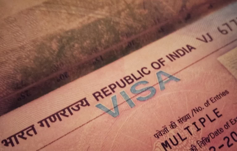 How to Fill Indian Visa Online Application