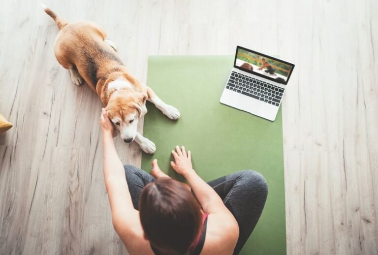 Best Online Dog Training Courses