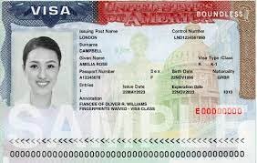 How To Get Usa Visa Application Online