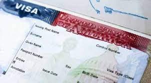 Business Travel To Usa And Us Visa For Swedish Citizens: