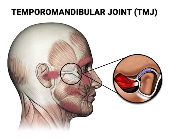 temporomandibular joint dysfunction specialists