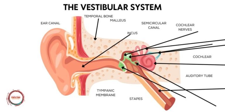 Vestibular Dizziness